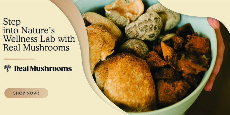 new-Real Mushrooms Web Banner Shroom bowl